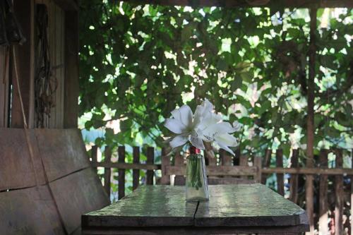 Restorāns, Finca Lindos Ojos in Esteli