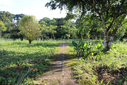 Dārzs, Finca Lindos Ojos in Esteli