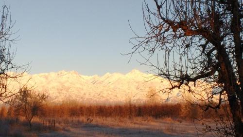 Finca La Clementina