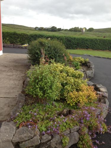 花園, 格林拉翁住宿加早餐旅館 (Greenlawn Lodge) in 利敦瓦納