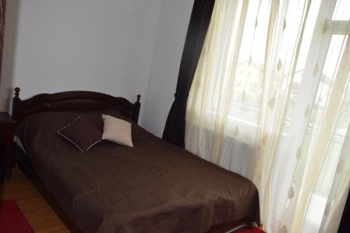 Apartament Selimbar