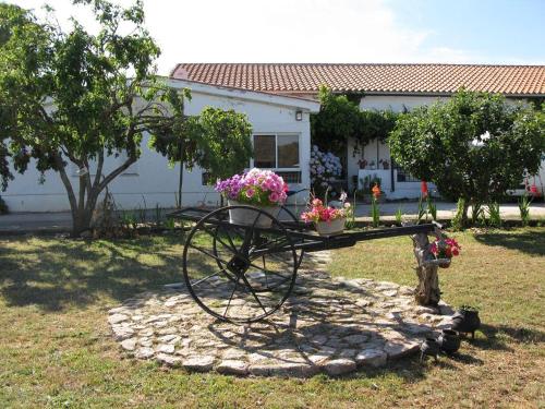 El Condado Casa Rural - Accommodation - Fuentes de Oñoro