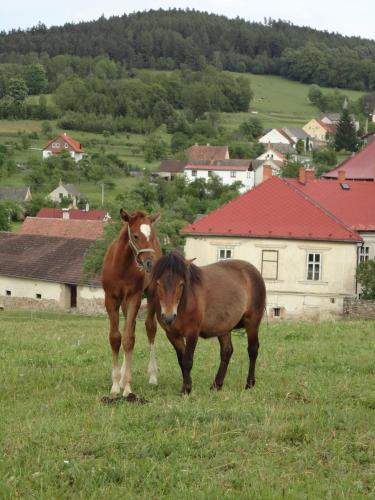 Jizdarna Zamek Skalice in Ckyne