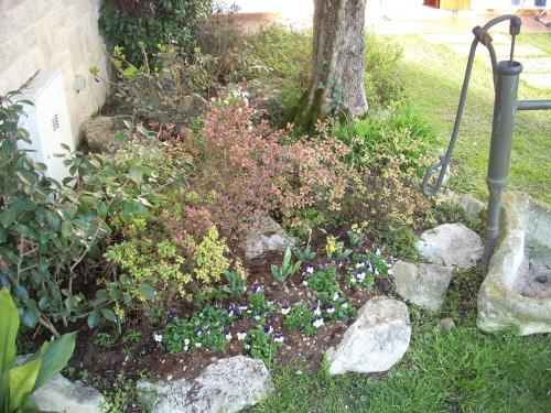 Alle Grazie - main image