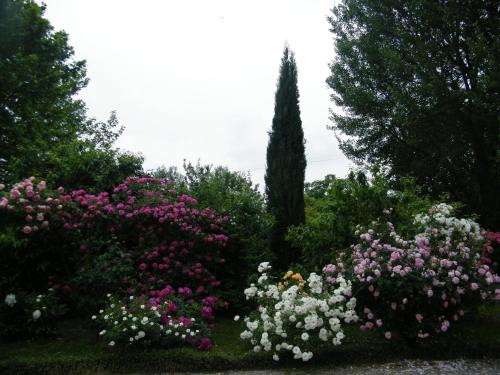 Hotels Image