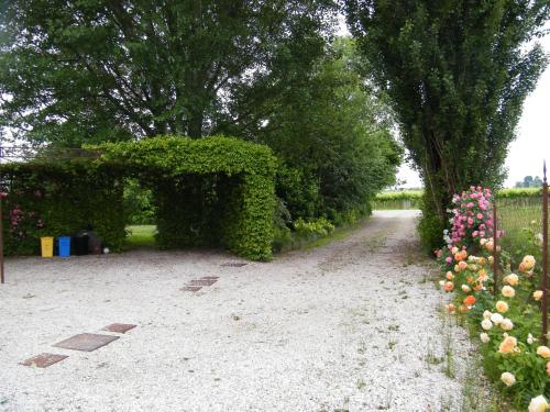 Hotels Image