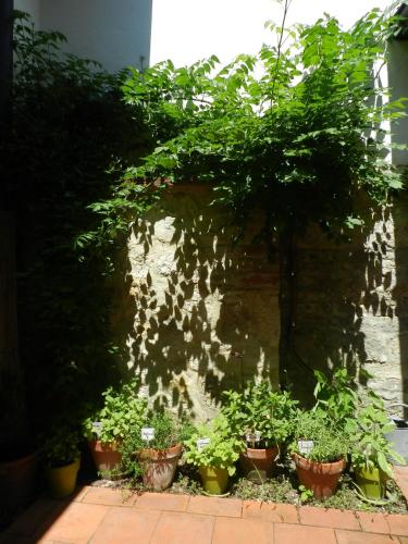 Casa.Peiso - image 7
