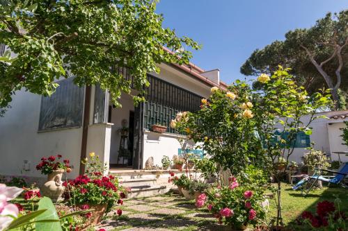 Alloggio per uso Turistico gîte à louer Lido dei Pini