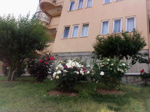 Anastasia Apartments - image 9