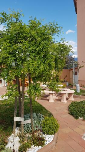 Apartments Suzana - image 2