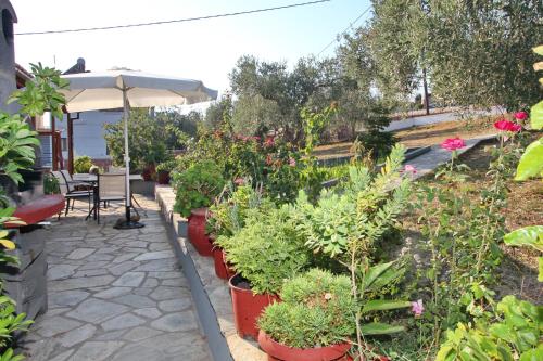 Armonia Guesthouse - image 3