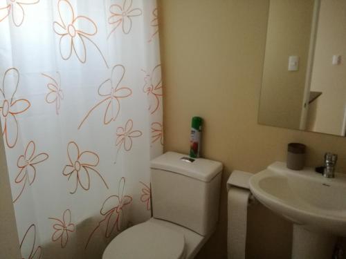 Condominio Los Robles Pucon - image 3