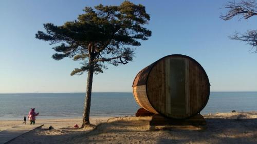A szálláshely kívülről, Kempings Saulesmājas (Kempings Saulesmajas) in Kolka