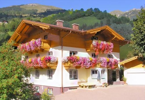 Haus Mitterlechner - Apartment - Dorfgastein