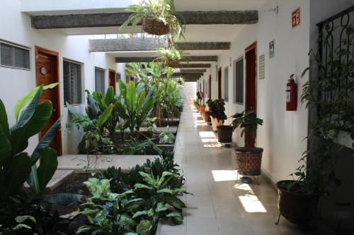Hotel Casablanca Tuxtla in Centro