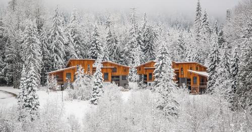 The Mountain Project #2 - Chalet - Rossland