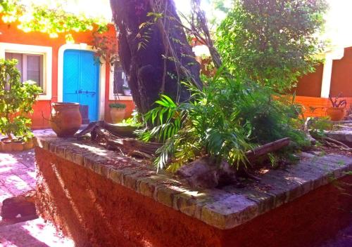  Corfu Town Garden Cottage in 49100 Korfu-Stadt