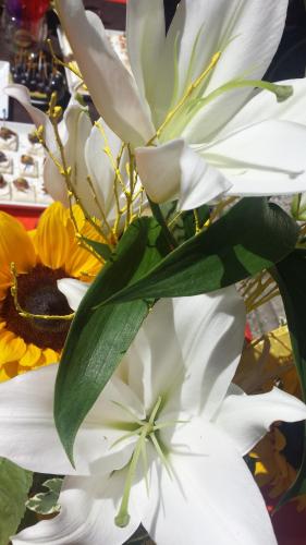 ホテル アミシジア