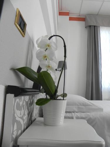 Hotel Helios - image 3