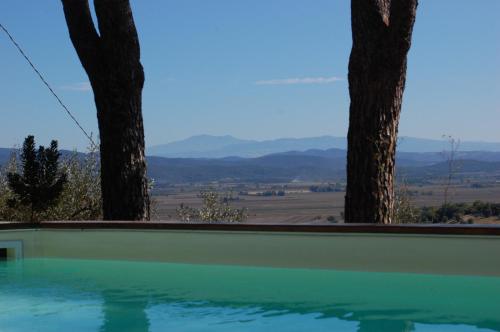  Il Pino in Vetulonia