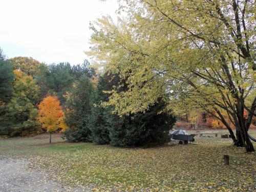 Kilátás, Bear & Butterfly Bed and Breakfast in Gravenhurst
