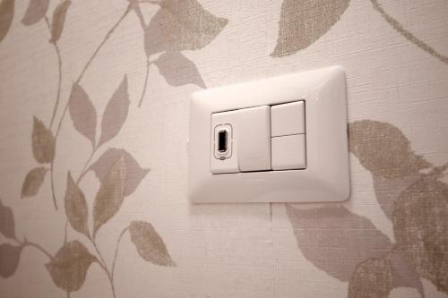 Domus Flaviae - image 13