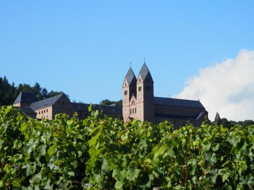 Közeli látványosságok, Rheingauer Fewo am Schulhaus in Geisenheim