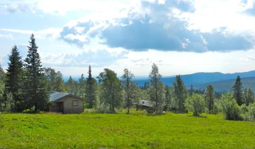 Fjällhalsen Cottages