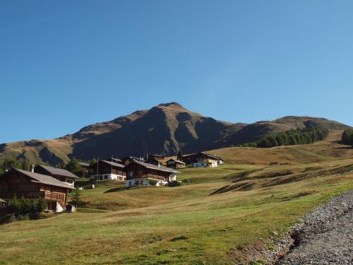 Chalet Gerbera