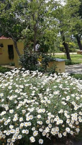 casa di campagna dal pozzo - Photo 5
