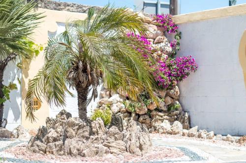  Mosaic Gardens in Faliraki