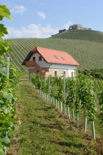 Skats, Weingut Taggenbrunn in St. Georgen Am Langsee