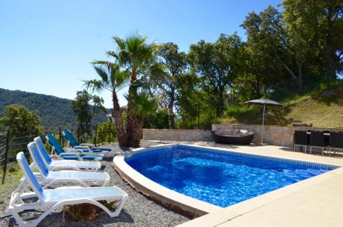Tree House Villa - image 7