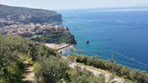 Ambrosio home Ambrosio home