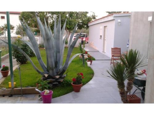  Apartman Ella in Vrsi