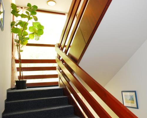 Hotel Orion Várkert - main image