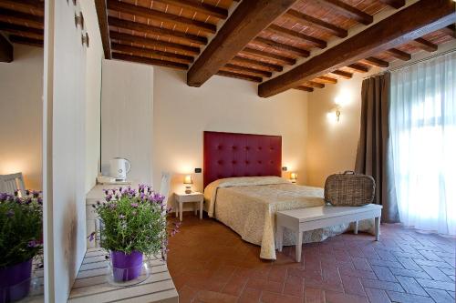Tenuta San Giovanni Lucca