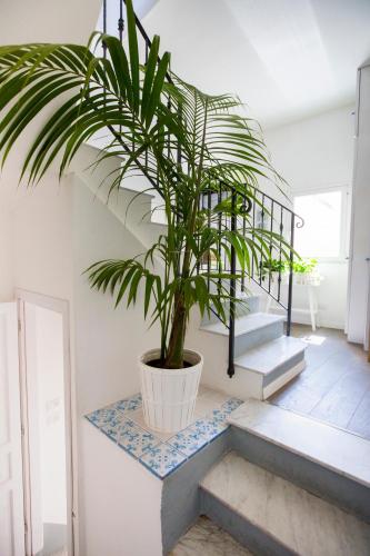 Azzurro B&B – Cefalu, CA