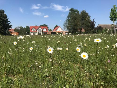 Alwine - Landhaus an den Spreewiesen Rietz Neuendorf