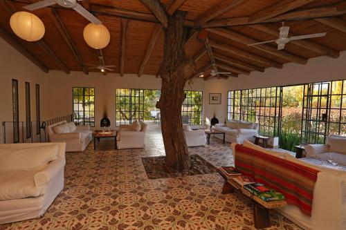편의 시설/서비스, Finca Adalgisa Wine Hotel Mendoza in 루한 데 쿠요