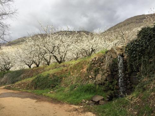 El Capricho del Jerte