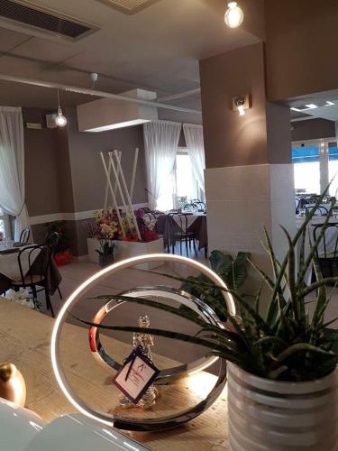 Hotel Ristorante Serena - image 8