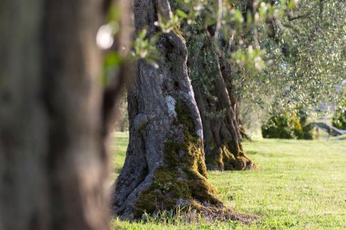 Agriturismo La Sosta di Annibale