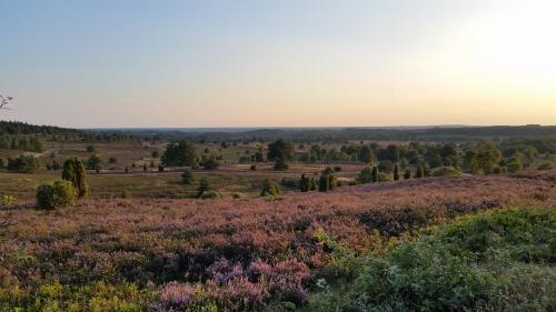 Ferienwohnung Parkblick Ferienwohnung Parkblick