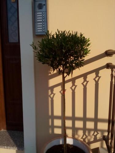 Kavadias Apartments - main image