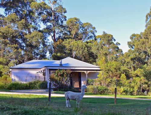 B&B Lakes Entrance - Araluen Park Cottages - Bed and Breakfast Lakes Entrance