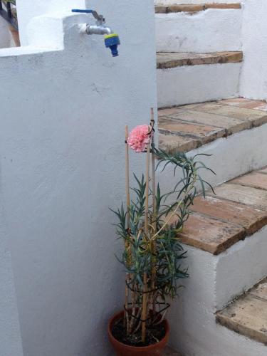 Apartamentos Casa la Costanilla - image 9