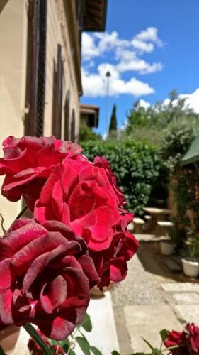 La Chicca B&B Siena - main image