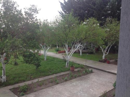 Guesthouse Anila - image 8