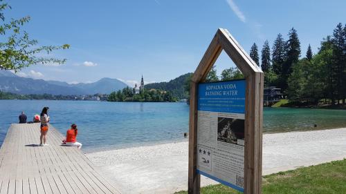 Sovica - main image
